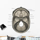 Superior Human Skull Labeled Anatomy Wall Decal