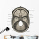 Superior Human Skull Labeled Anatomy Wall Decal