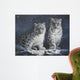 Young Snow Leopards Into the Dark 2011 Wall Mural