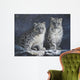 Young Snow Leopards Into the Dark 2011 Wall Mural