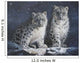 Young Snow Leopards Into the Dark 2011 Wall Mural