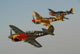 Two P-40 Warhawks and Wall Decal