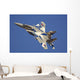 F-15dj Eagle Japan Air Sky Wall Decal