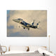 F-15dj Eagle Japan Air against Cloud Wall Decal