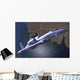 Us Air Force A-10 Over Ground Wall Decal