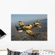 Ad-5 Skyraider Flying over Wall Decal