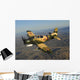 Ad-5 Skyraider Flying over Wall Decal