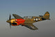 P-40 Warhawk Flying Sky Wall Decal