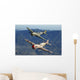 P-40 Warhawks Flying over Mountains Wall Decal