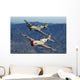 P-40 Warhawks Flying over Mountains Wall Decal