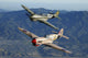 P-40 Warhawks Flying over Mountains Wall Decal