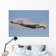 F4-e Phantom Japan Air Left Side Wall Decal