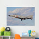 F4-e Phantom Japan Air against Cloud Wall Decal