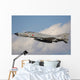 F4-e Phantom Japan Air In-Flight Wall Decal