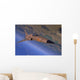 F-5 Tiger Ii Flying Wall Decal