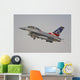 F-16b Fighting Falcon Royal Wall Decal
