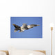 F-16c Fighting Falcon Flying Wall Decal