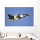 F-16c Fighting Falcon Flying Wall Decal