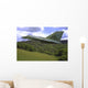 F-111 Aardvark Flying over Wall Decal