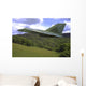 F-111 Aardvark Flying over Wall Decal