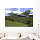 F-111 Aardvark Flying over Wall Decal