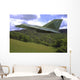 F-111 Aardvark Flying over Wall Decal
