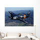 F8f Bearcat Flying over Wall Decal