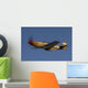 P-51c Mustang Flying Underneath Wall Decal