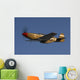 P-51c Mustang Flying Underneath Wall Decal