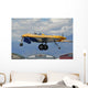 Northrop N9m Flying Wing Wall Decal