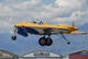 Northrop N9m Flying Wing Wall Decal