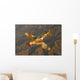 P-40 Warhawk Flying over Mountains Wall Decal