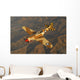 P-40 Warhawk Flying over Mountains Wall Decal