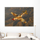 P-40 Warhawk Flying over Mountains Wall Decal