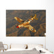 P-40 Warhawk Flying over Mountains Wall Decal