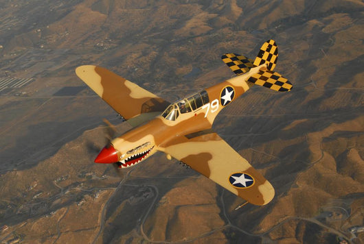 P-40 Warhawk Flying over Mountains Wall Decal
