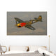 P-40 Warhawk Flying over Town Wall Decal