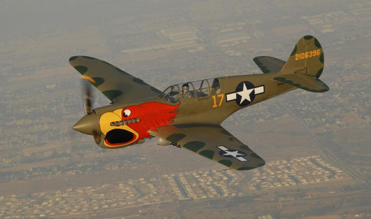 P-40 Warhawk Flying over Town Wall Decal