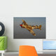 P-40 Warhawk Flying Wall Decal