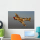 P-40 Warhawk Flying Wall Decal