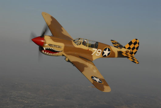 P-40 Warhawk Flying Wall Decal