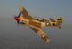 P-40 Warhawk Flying Wall Decal