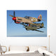 P-40 Warhawks Flying Sky Wall Decal