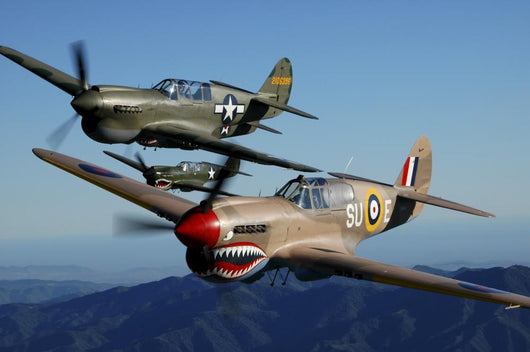 P-40 Warhawks Flying Wall Decal