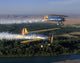 Stearman Pt-17 Kaydets Flying Wall Decal