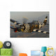 P-47 Thunderbolt Flying over Wall Decal