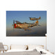 P-47 Thunderbolts Flying Pair Wall Decal