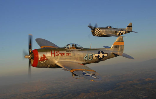 P-47 Thunderbolts Flying Pair Wall Decal