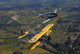 At-6 Texan and Stearman Wall Decal