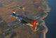 P-47 Thunderbolts Flying Wall Decal